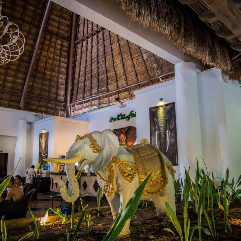 L'Elefant Bar at Sandos Caracol Resort